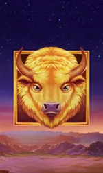 Buffalo's Sun 2